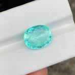 1 pcs Paraiba toermalijn - 5.77 ct - Gemological Institute, Nieuw