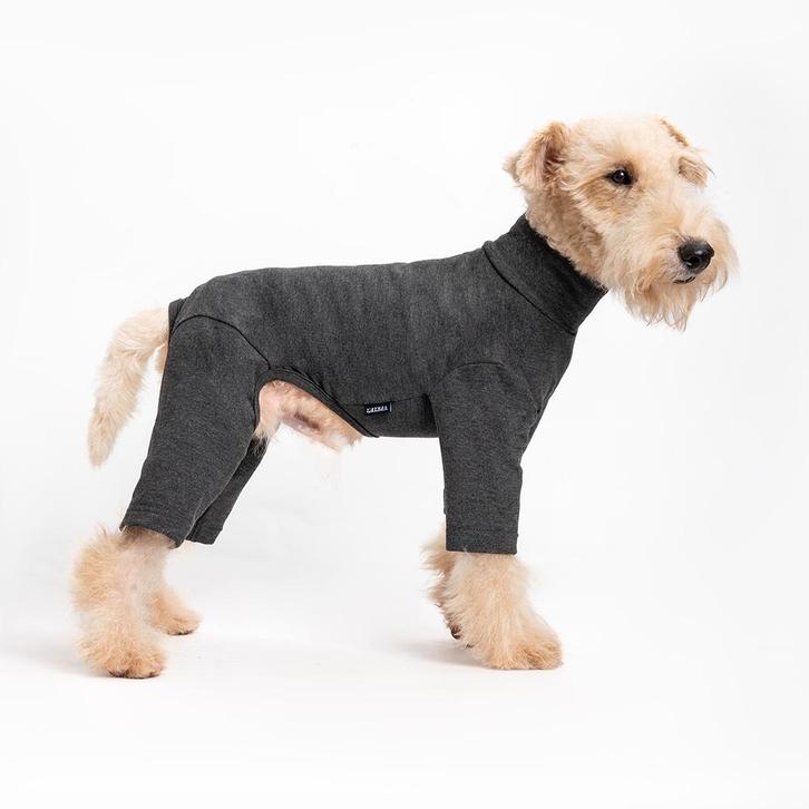 Comfort Jumpsuit voor Honden  Antraciet (Hondenkleding), Dieren en Toebehoren, Hondenkleding, Hondentrainingspak, Nieuw, Ophalen of Verzenden