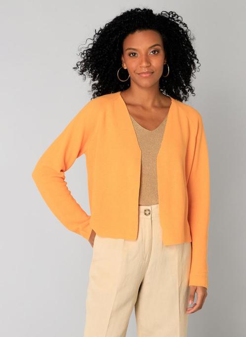 YEST vest Isis Essential Maat:, Kleding | Dames, Truien en Vesten, Overige kleuren, Nieuw, Verzenden