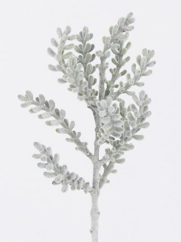 Santolina Tak Grijsgroen Kort 34 cm, Huis en Inrichting, Woonaccessoires | Kunstplanten en Kunstbloemen, Nieuw, Ophalen of Verzenden