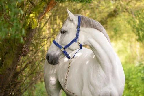 Kerbl Halster Mustang, blauw/zwart, gr 3, Dieren en Toebehoren, Paarden en Pony's | Overige Paardenspullen, Verzenden