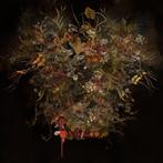 Mariska Karto - Botanic surreal flowers, stiletto and tomato