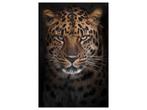 Glasschilderij Luipaard | 935, Huis en Inrichting, Ophalen of Verzenden, Nieuw