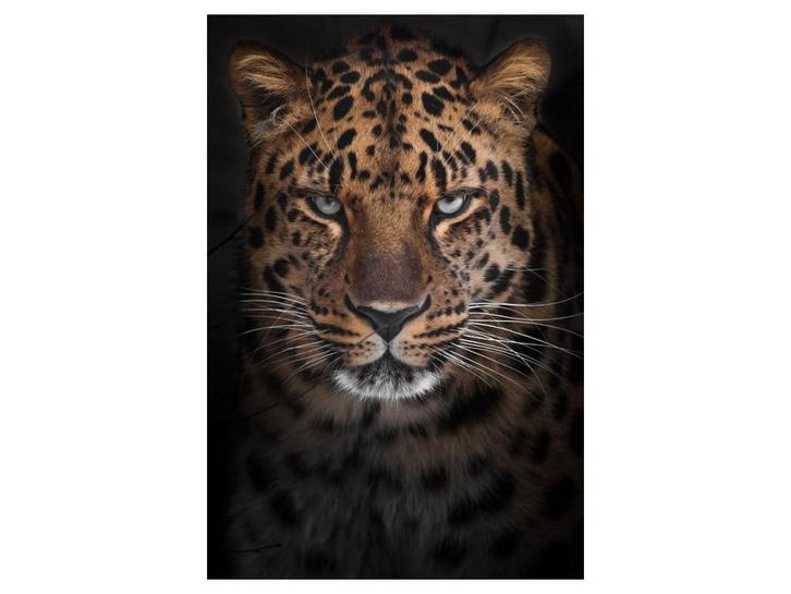 Glasschilderij Luipaard | 935, Huis en Inrichting, Woonaccessoires | Overige, Nieuw, Ophalen of Verzenden