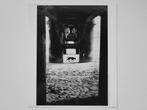 Michel Vanden Eeckhoudt - Madeira, Portugal, 1994