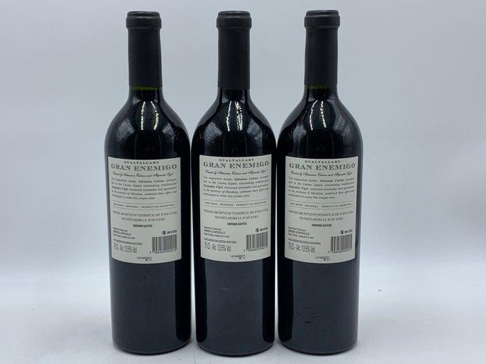 2019 Gran Enemigo, Gualtallary Single Vineyard Cabernet, Verzamelen, Wijnen