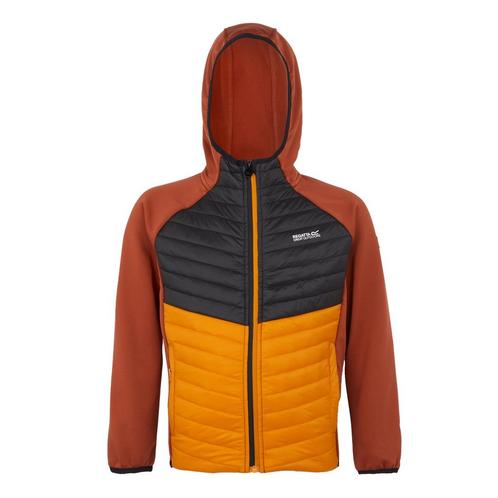 -62% Regatta  Regatta Kinders/kids kielder viii hybride jas, Kinderen en Baby's, Kinderkleding | Maat 164, Nieuw, Verzenden