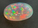 Wit Opaal - 6.77 ct - Antwerp Laboratory for Gemstone, Nieuw