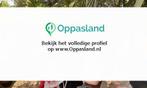 Hanna zoekt een oppas in Den Haag voor 1 kind op maandag,...