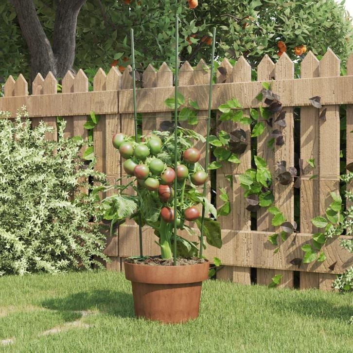 vidaXL Plantensteunen 5 st met 3 ringen 60 cm staal groen, Tuin en Terras, Bloembakken en Plantenbakken, Nieuw, 60 cm of meer