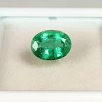 Zonder Minimumprijs - 1 pcs Groen Smaragd - 1.15 ct -, Sieraden, Tassen en Uiterlijk, Edelstenen, Nieuw
