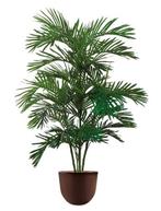 Areca Palm kunstplant, H160cm, Ophalen of Verzenden