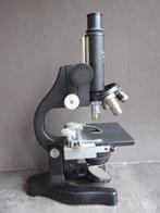 Microscoop - Labor - 1940-1950 - Leitz