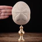 Cabinet de Curiosity - Sun Dollar - Zee-egel - Decoratieve, Verzamelen, Mineralen en Fossielen