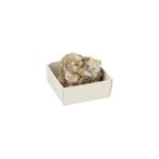 Ruwe Dendriet Opaal Edelsteen ca. 4 cm, Verzamelen, Mineralen en Fossielen, Verzenden