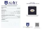 1 pcs Oranje, Wit Opaal - 10.95 ct - Antwerp Laboratory for, Nieuw