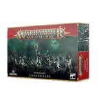 Nighthaunt Chainrasps (Warhammer nieuw), Hobby en Vrije tijd, Wargaming, Ophalen of Verzenden, Nieuw