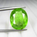 1 pcs Geel, Groen Olivijn - 7.59 ct - nternational Colored, Sieraden, Tassen en Uiterlijk, Edelstenen, Nieuw