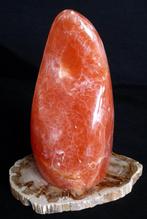 PAPAYA.. Calciet / GEEN BIEDINGSGEGEVENS / Vrije Vorm -
