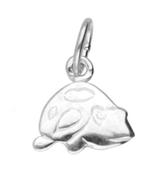 Zilveren Schildpad vlak klein kettinghanger, Sieraden, Tassen en Uiterlijk, Kettinghangers, Verzenden, Nieuw