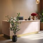 Kunstplant - Eucalyptus - Blauwe Gomboom - 140cm - 120 cm, Verzenden, Nieuw