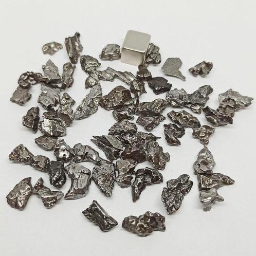 IJzermeteorieten Campo del Cielo. (Argentinië, 4.500, Verzamelen, Mineralen en Fossielen