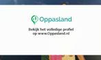 Laura zoekt een oppas in Rijswijk voor 2 kinderen voor 7..., Vacatures, Vacatures | Schoonmaak en Facilitaire diensten