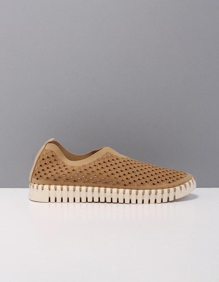 Ilse Jacobsen tulip 3275 ballerina's dames beige  110 latte, Kleding | Dames, Schoenen, Nieuw, Verzenden
