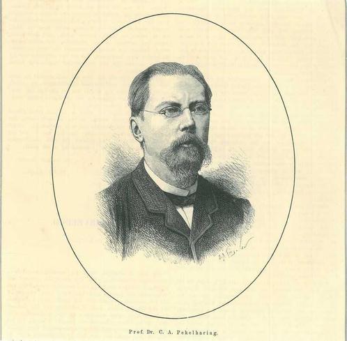 Portrait of Cornelis Adrianus Pekelharing, Antiek en Kunst, Kunst | Etsen en Gravures