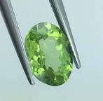 Zonder minimumprijs - 1 pcs Groen Olivijn - 3.25 ct -, Nieuw