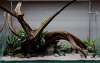 Fine sinking wood 35-50cm  - Aquarium decoratie mangrove hou, Dieren en Toebehoren, Vissen | Aquaria en Toebehoren, Nieuw, Plant(en), Steen of Hout