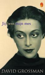 Jij bent mijn mes / Flamingo pocket 9789041408259, Verzenden, Gelezen, David Grossman