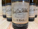 2019 Domaine Maurice Schueller Goldert Pinot Gris - Elzas, Nieuw