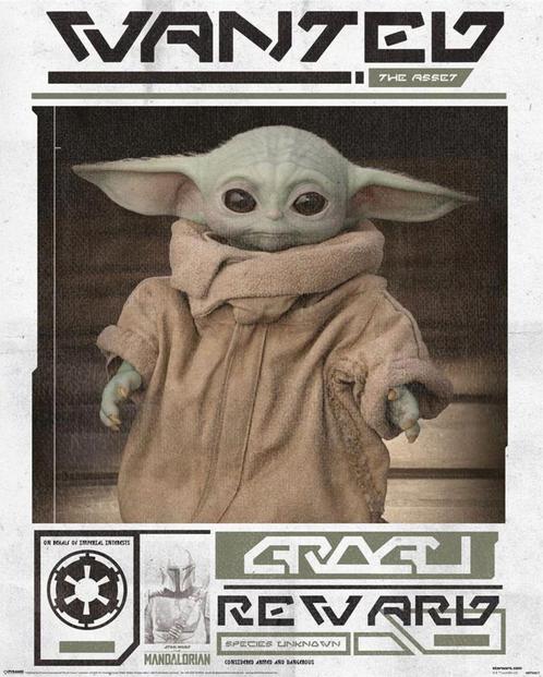 Poster Star Wars The Mandalorian Grogu Wanted 40x50cm, Verzamelen, Posters, Nieuw, A1 t/m A3, Verzenden