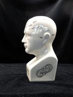 Hoofd ornament - Model Phrenology Hoofd - Dr. L.N.Fowler -