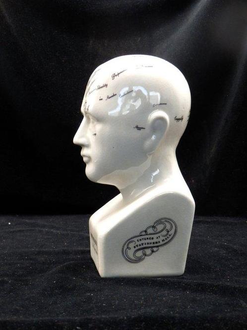 Hoofd ornament - Model Phrenology Hoofd - Dr. L.N.Fowler -, Antiek en Kunst, Kunst | Designobjecten