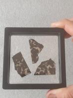 SERICHO - pallasite meteoriet - 3 gepolijste sneden. Zonder, Verzamelen, Mineralen en Fossielen