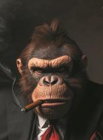 Collectibles & Co. - [LAST CHANCE TO BUY!!] Donkey Kong -, Nieuw