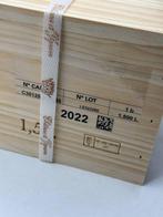 2022 Château dYquem - Sauternes - 1 Magnum (1,5 L), Nieuw