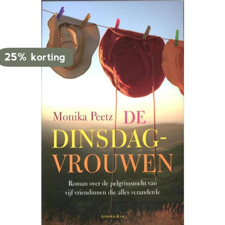 De dinsdagvrouwen / De dinsdagvrouwen / 1 9789047202899, Boeken, Romans, Gelezen, Verzenden