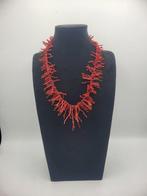 Bloedkoraal Koraal - Corallo Mediterraneo (Zonder, Antiek en Kunst