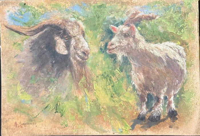 Alceste Campriani (1848-1933) - Studio di Capre, Antiek en Kunst, Kunst | Schilderijen | Klassiek