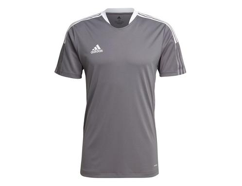 adidas - Tiro 21 Training Jersey - Grijs Voetbalshirt - S, Sport en Fitness, Voetbal