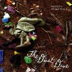 cd - The Dust Dive - Asleep Or Awake Walk, Verzenden, Zo goed als nieuw