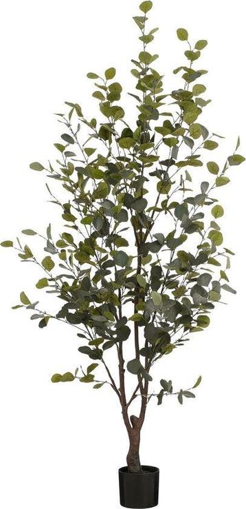 Tweedekans | Mica Decorations Kunstplant Eucalyptusboom in beschikbaar voor biedingen