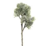 Pinus Spray Mugo gevlokt 58cm, Huis en Inrichting, Ophalen of Verzenden, Nieuw