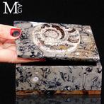 Sigarenetui - Exclusieve sigarenhouder - Fossil Ammonite