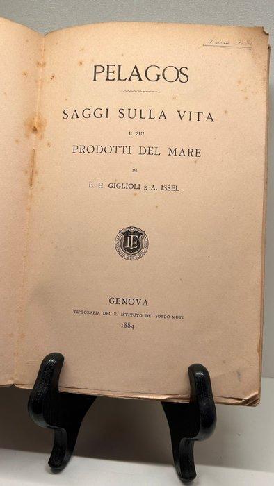 Enrico Hillyer Giglioli & Arturo Issel - Pelagos. Saggi, Antiek en Kunst, Antiek | Boeken en Bijbels