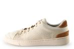 Toms Sneakers in maat 43 Beige | 10% korting, Kleding | Heren, Schoenen, Overige kleuren, Verzenden, Toms, Sneakers of Gympen