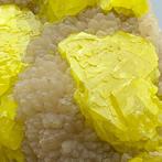 Grosso 25 cm, ZOLFO GIALLO op ARAGONIET, SICILIË Kristallen